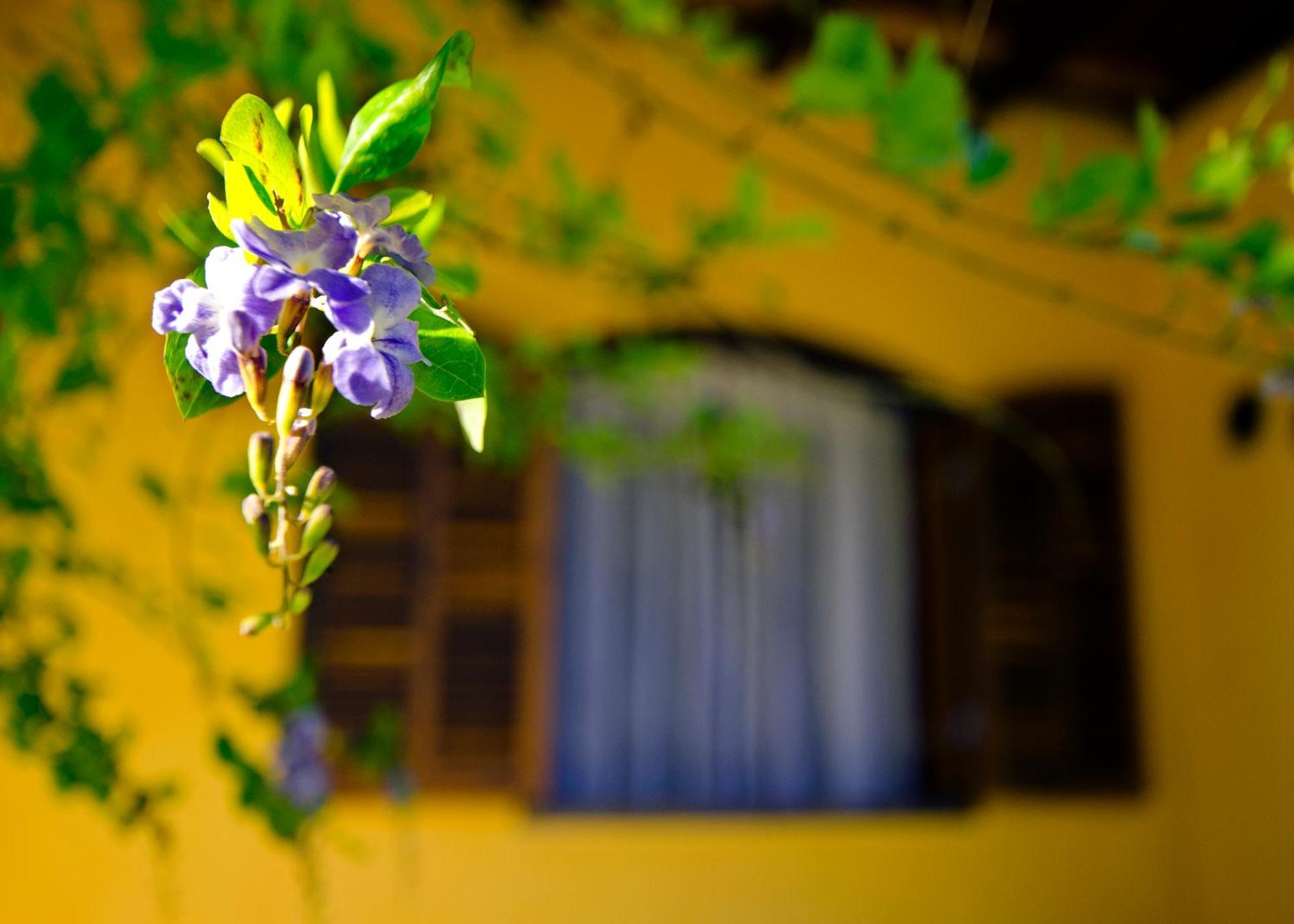 Pousada Da Gruta Visconde De Mauá Kamer foto